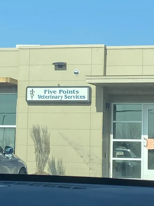 Five Point Vet Services 9