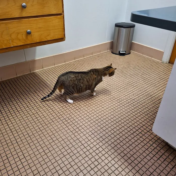 Springville Animal Hospital 2
