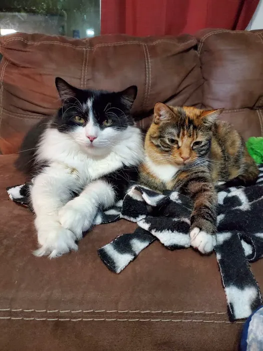 Springville Animal Hospital 7