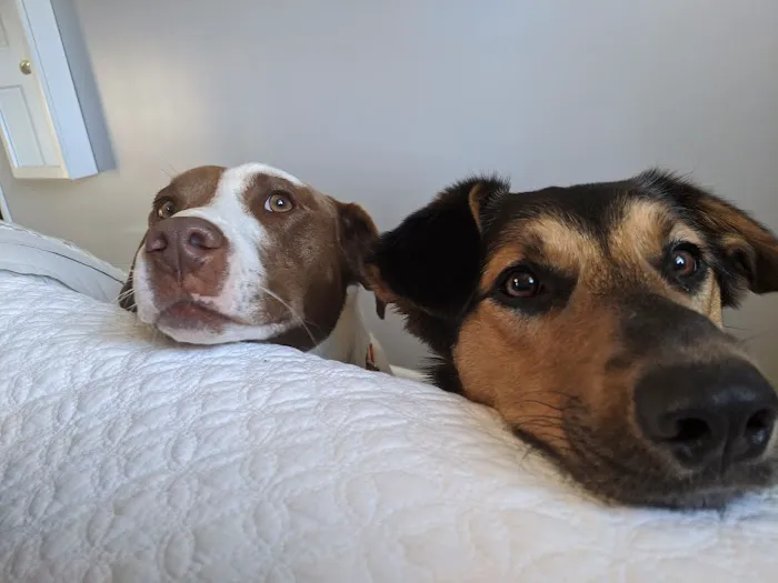 Concord Veterinary Center 3