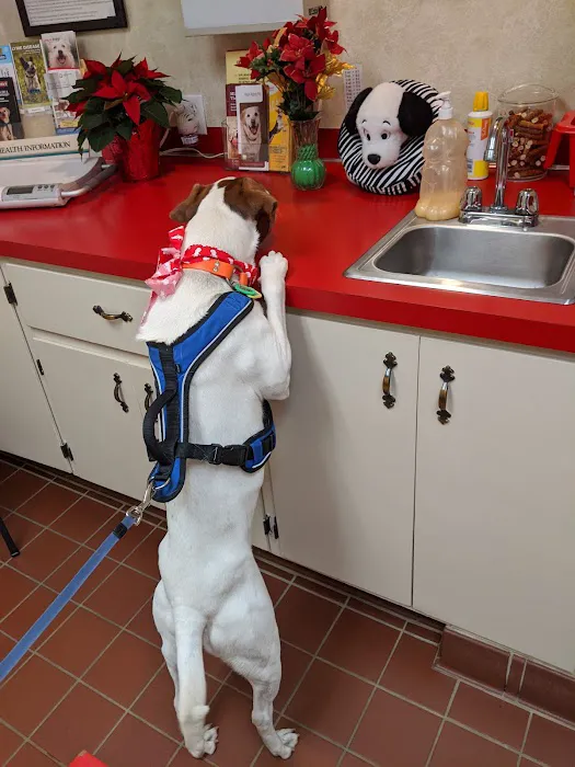 Concord Veterinary Center 2