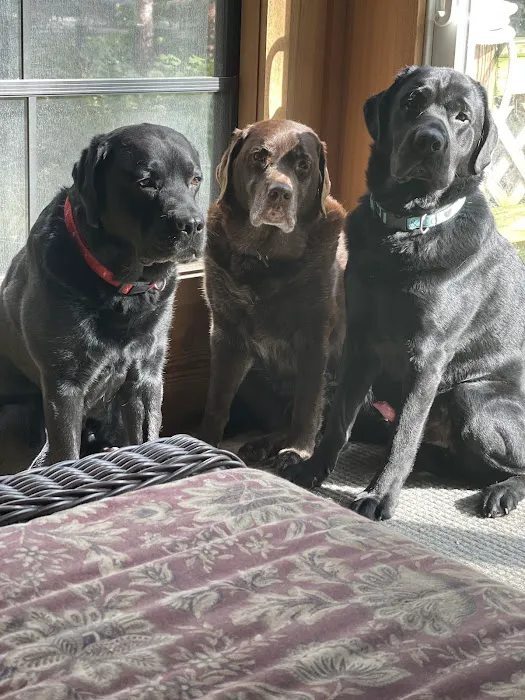 Concord Veterinary Center 6