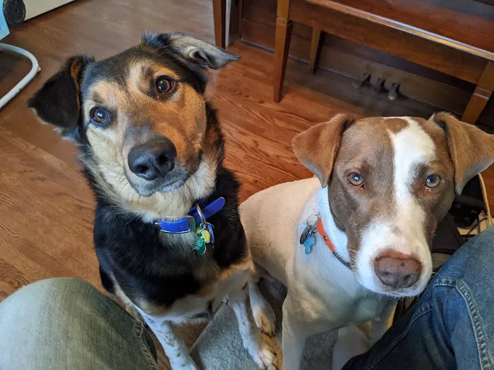 Concord Veterinary Center 5
