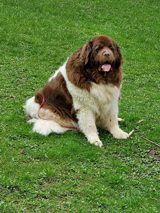 Concord Veterinary Center 4