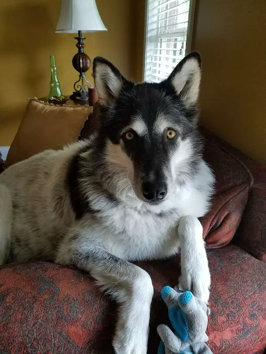 Concord Veterinary Center 7