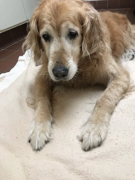 Concord Veterinary Center 8