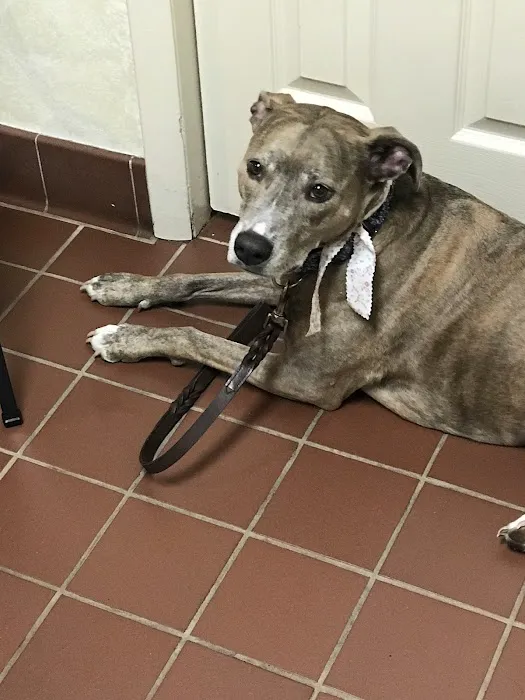Concord Veterinary Center 10