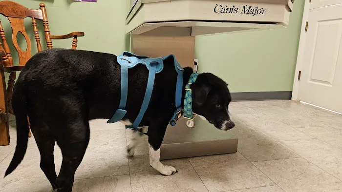 Nachbar Veterinary Hospital 1