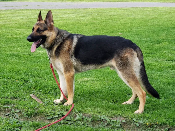 Nachbar Veterinary Hospital 3