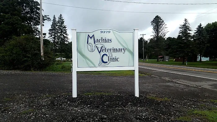 Machias Veterinary Clinic 1