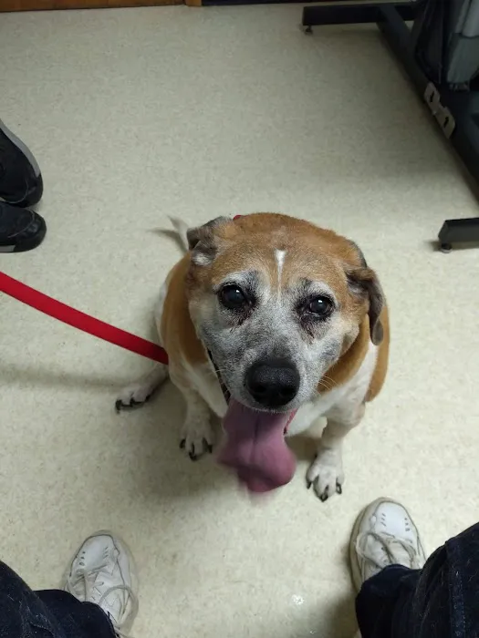 Machias Veterinary Clinic 4