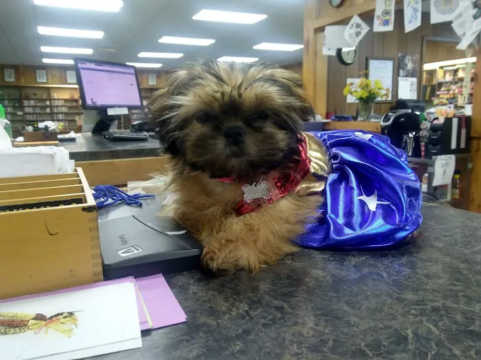 Machias Veterinary Clinic 7