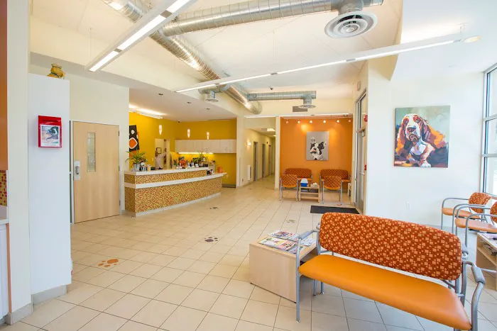 Village Veterinary Clinic of Hamburg 3