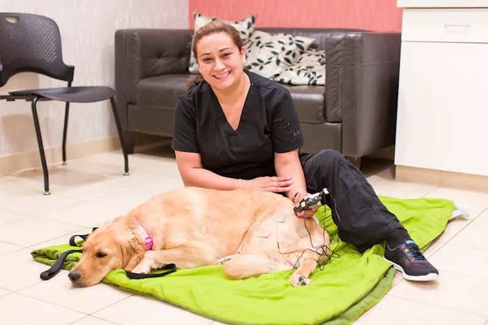 Village Veterinary Clinic of Hamburg 5