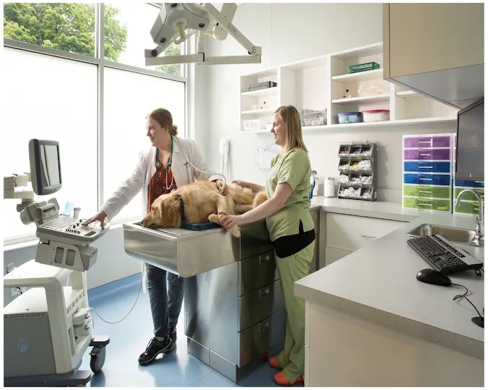 Village Veterinary Clinic of Hamburg 10
