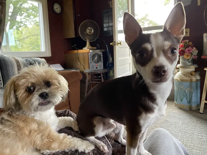 Encompass Animal Care and Health 5