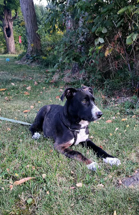 Encompass Animal Care and Health 1