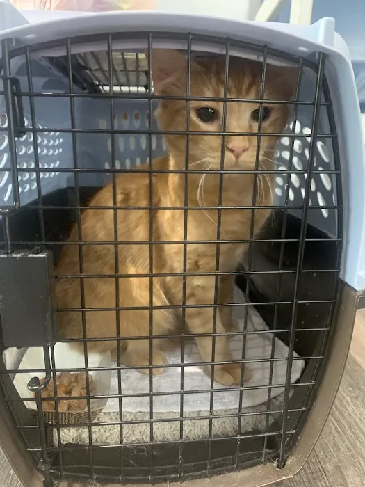 Encompass Animal Care and Health 7