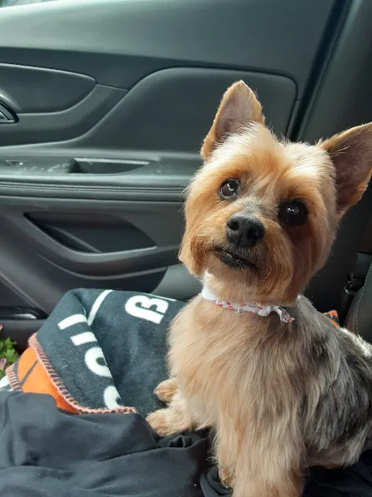 Tillou Veterinary Hospital 1