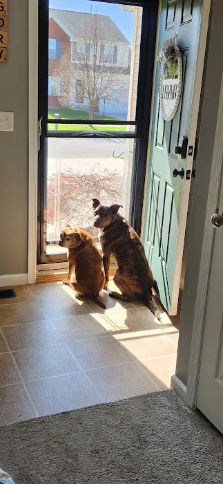 Tillou Veterinary Hospital 7