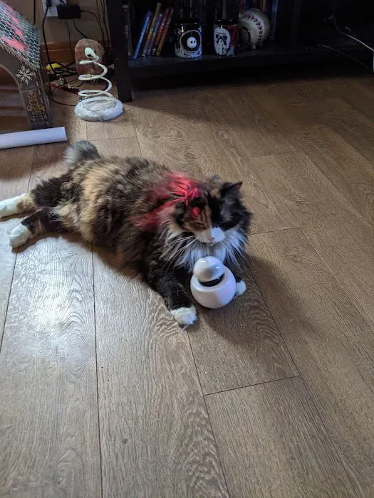 Tillou Veterinary Hospital 10
