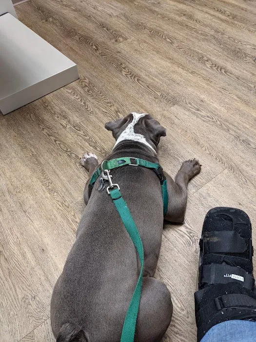 Adoring Pets Vet Health Center 3