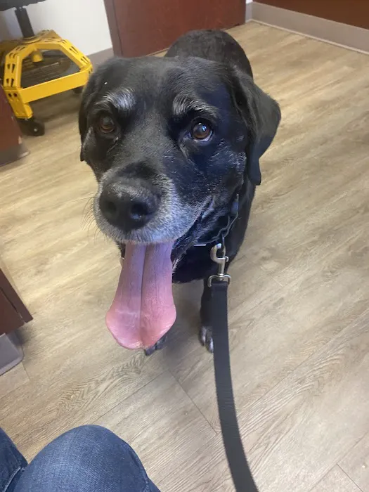 Adoring Pets Vet Health Center 4