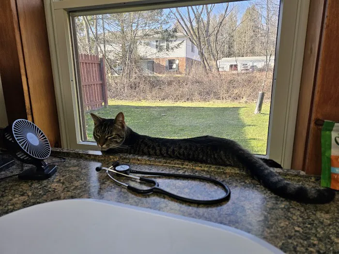 Boston Valley Animal Hospital 5