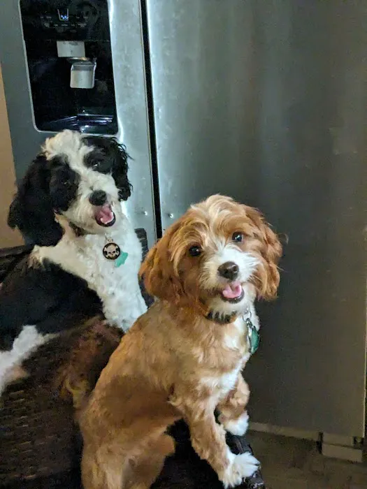 Abbott Road Animal Hospital 5