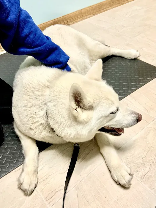 Abbott Road Animal Hospital 1