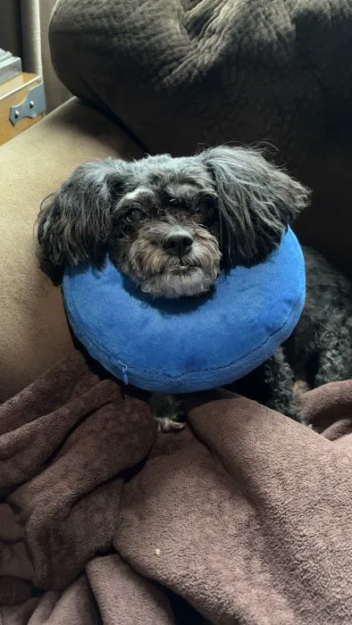 Abbott Road Animal Hospital 6