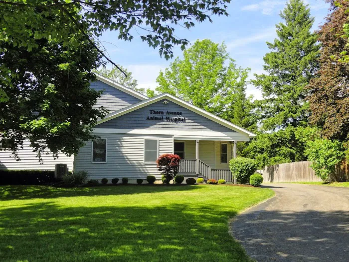 Thorn Avenue Animal Hospital 2