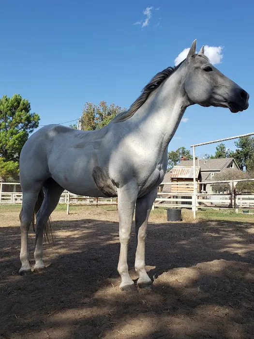 Denham Animal Clinic 1