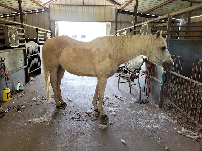 Denham Animal Clinic 2