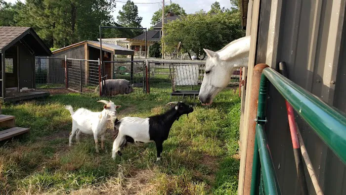 Denham Animal Clinic 5