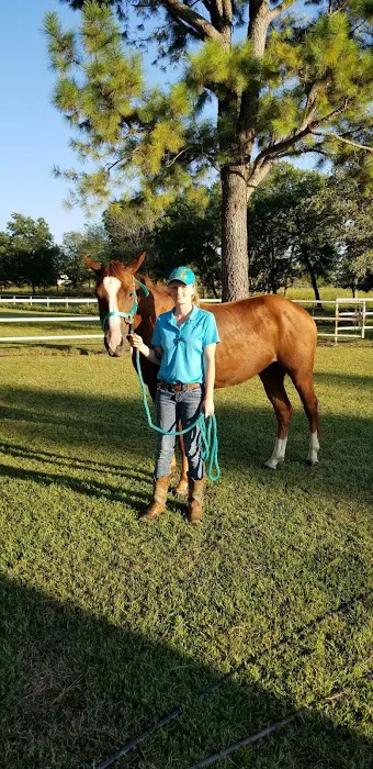 Denham Animal Clinic 10