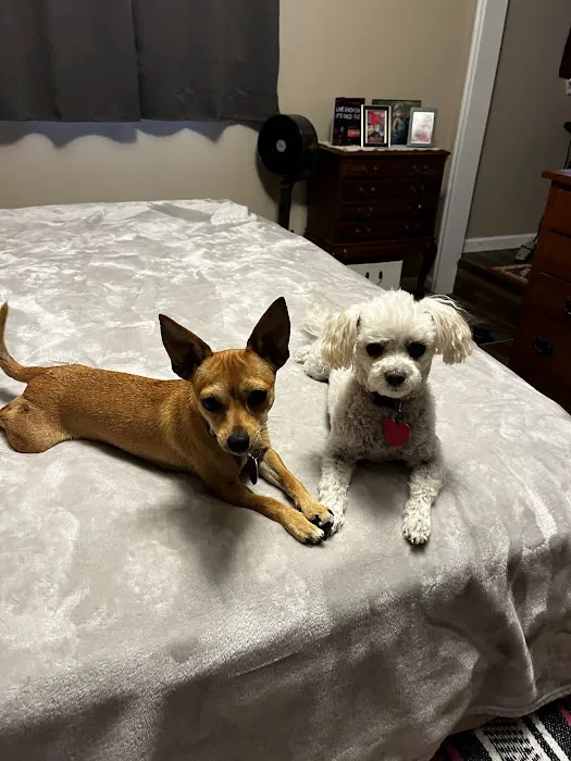 Dripping Springs Pet Hospital 7