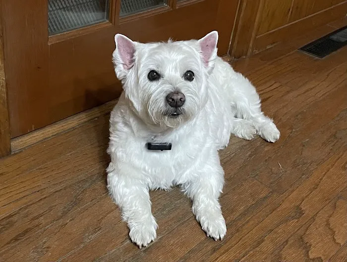 Crocker Veterinary Care 4