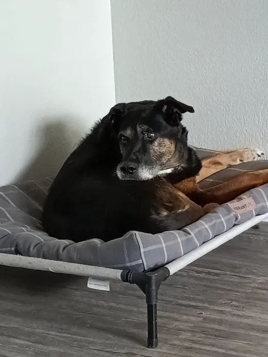 Crocker Veterinary Care 5