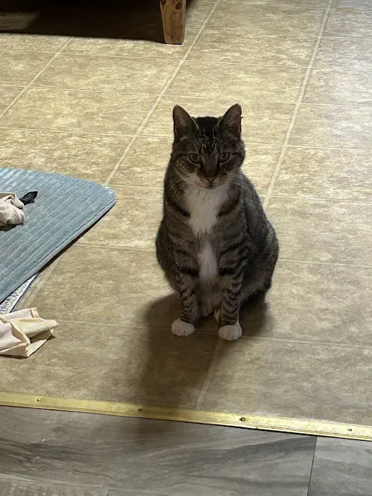 Crocker Veterinary Care 8