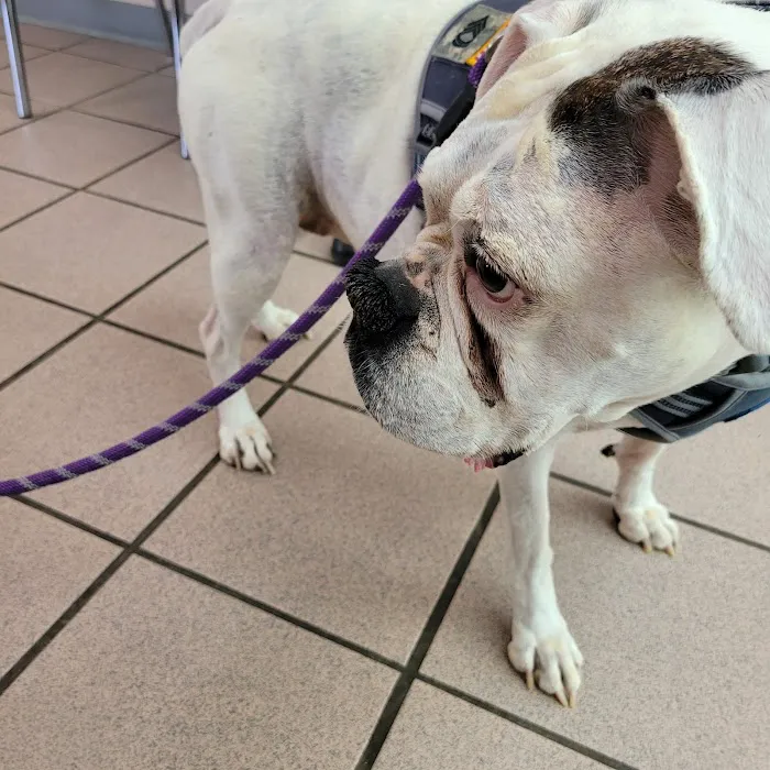 Crocker Veterinary Care 7
