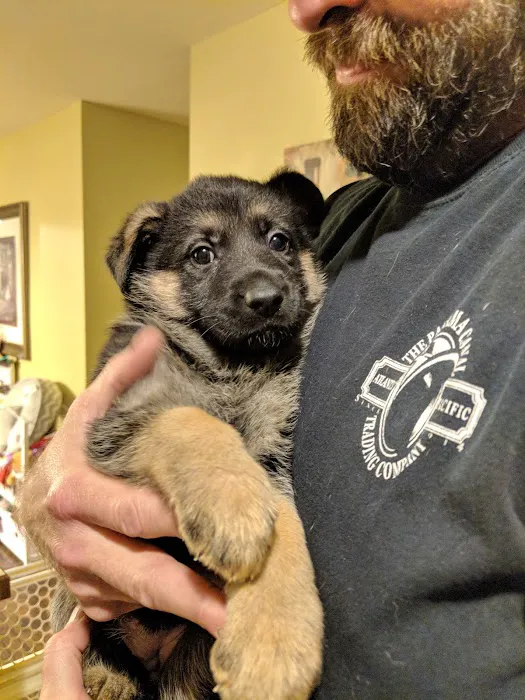 Sand Springs Small Animal Hospital 10
