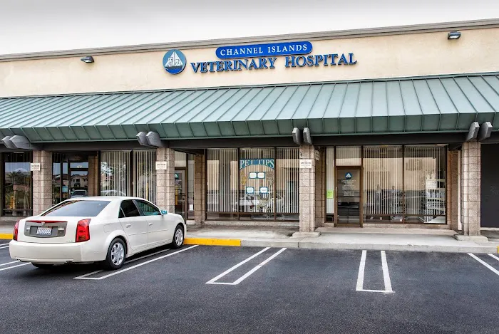Channel Islands Veterinary Hospital 1