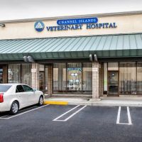 Channel Islands Veterinary Hospital ico