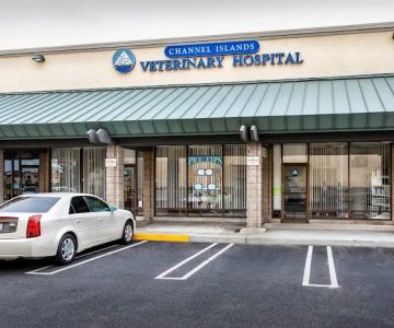 Channel Islands Veterinary Hospital