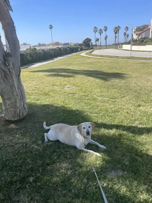 Channel Islands Veterinary Hospital 3