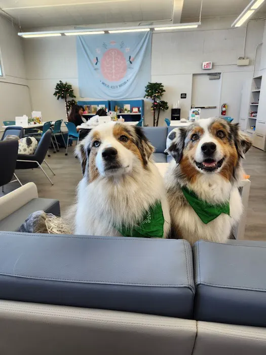 Channel Islands Veterinary Hospital 2