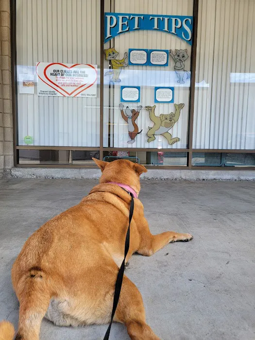 Channel Islands Veterinary Hospital 9