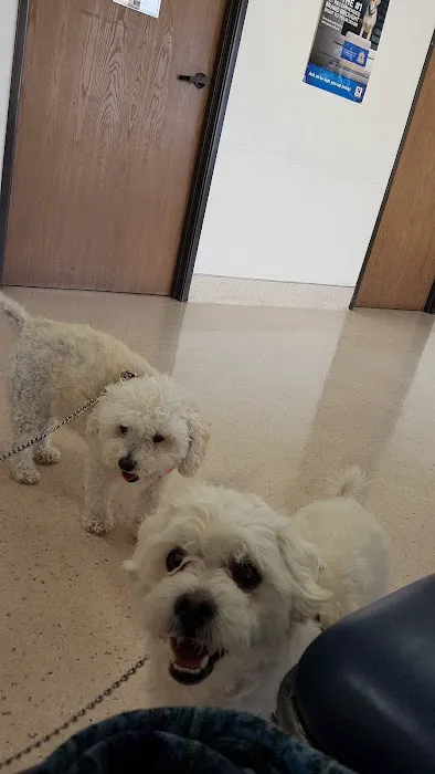 Channel Islands Veterinary Hospital 10