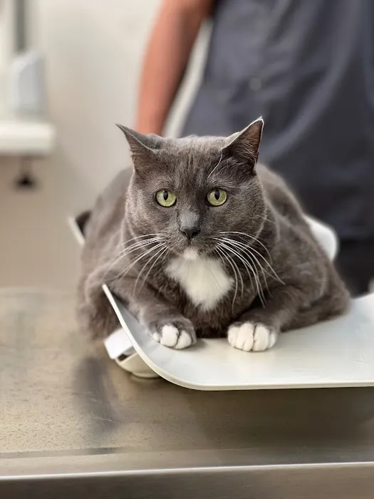 Hueneme Veterinary Center 2